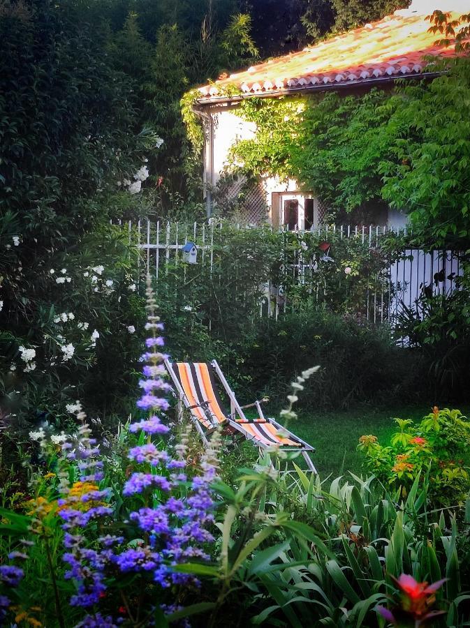 La Prevote Bed & Breakfast Moissac Exterior photo
